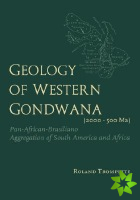 Geology of Western Gondwana (2000 - 500 Ma)