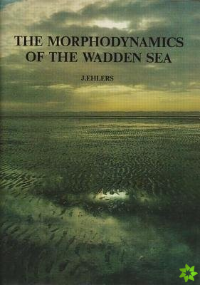 Morphodynamics of the Wadden Sea