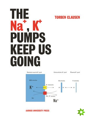 Na+, K+ Pumps Keep Us Going