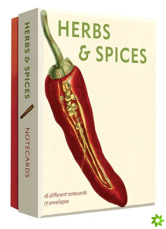 Herbs and Spices Detailed Notecard Set