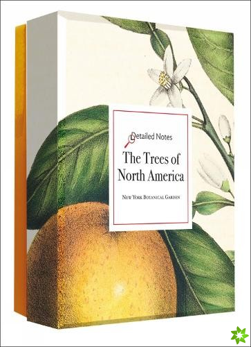 Trees of North America Detailed Notecard Set