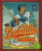 Barbed Wire Baseball
