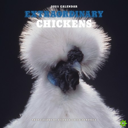 Extraordinary Chickens 2025 Wall Calendar