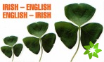 Irish-English, English-Irish Dictionary