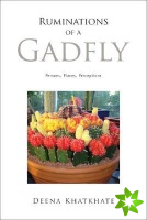 Ruminations of a Gadfly
