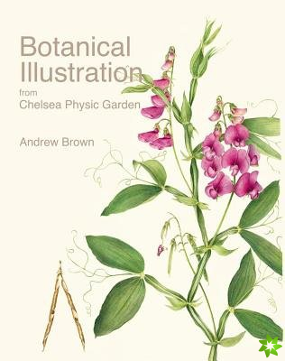 Botanical Illustration from Chelsea Physic Garden