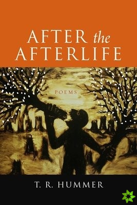 After the Afterlife - Poems