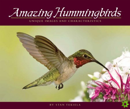 Amazing Hummingbirds