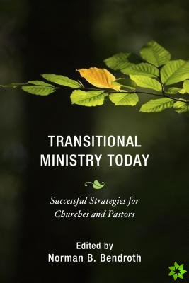 Transitional Ministry Today