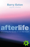 Afterlife
