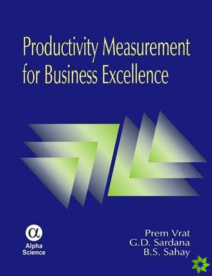 Productivity Measurement for Business Excellence
