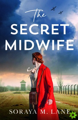 Secret Midwife