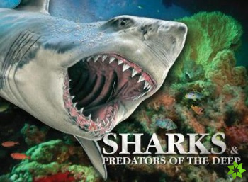 Sharks & Predators of the Deep