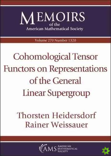 Cohomological Tensor Functors on Representations of the General Linear Supergroup