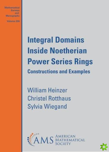 Integral Domains Inside Noetherian Power Series Rings