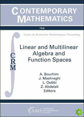 Linear and Multilinear Algebra and Function Spaces
