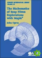 Mathematics of Soap Films