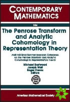 Penrose Transform and Analytic Cohomology in Representation Theory