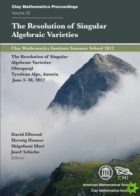 Resolution of Singular Algebraic Varieties