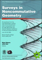 Surveys in Noncommutative Geometry