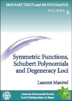Symmetric Functions, Schubert Polynomials and Degeneracy Loci
