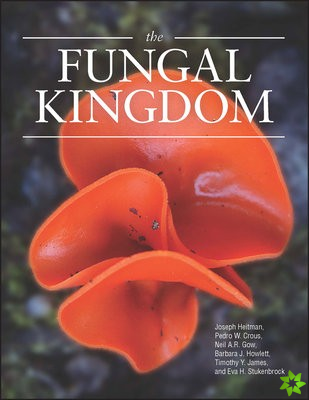 Fungal Kingdom