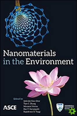 Nanomaterials in the Environment