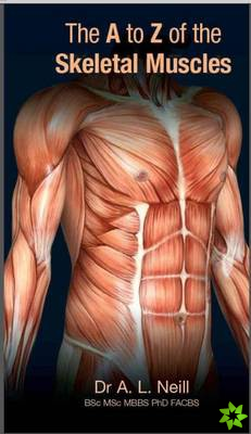 A to Z of Skeletal Muscles