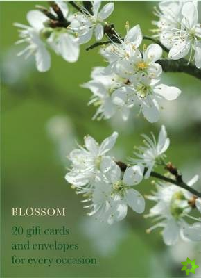 Blossom Large Card Box