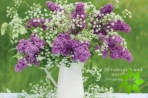 Card Box of 20 Notecards and Envelopes: Lilac