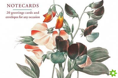 Card Box of 20 Notecards and Envelopes: Sweetpea