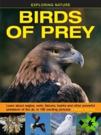 Exploring Nature: Birds of Prey