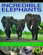Exploring Nature: Incredible Elephants