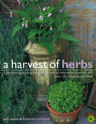 Harvest of Herbs