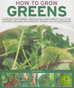 How to Grow Greens