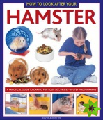 How to Look After Your Hamster