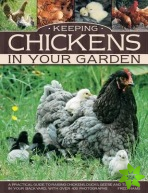 Keeping Chickens in Your Garden