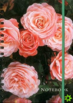 Notebook Rose