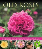 Old Fashioned Roses