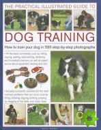 Practical Illustrated Guide to Dog Training