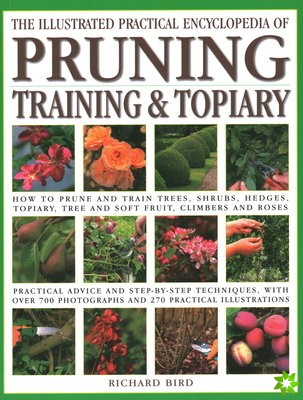 Pruning, Training & Topiary, Illustrated Practical Encyclopedia of