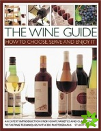 Wine Guide: How to Choose, Serve and Enjoy it