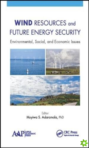 Wind Resources and Future Energy Security