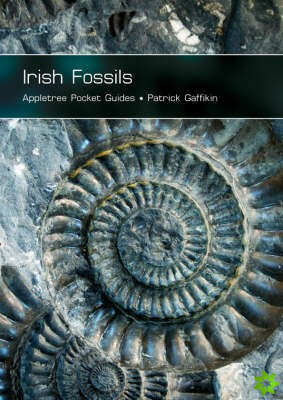 Irish Fossils
