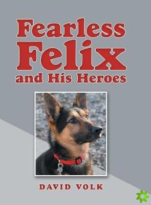 Fearless Felix and His Heroes