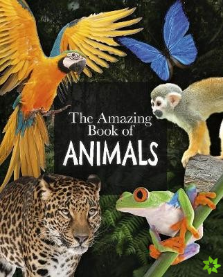 Amazing Book of Animals