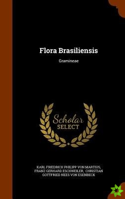 Flora Brasiliensis