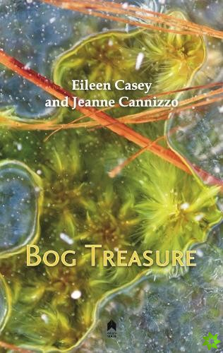 Bog Treasure