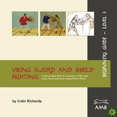 Viking Sword and Shield Fighting Beginners Guide Level 3