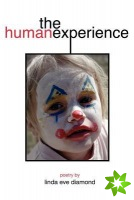 Human Experience